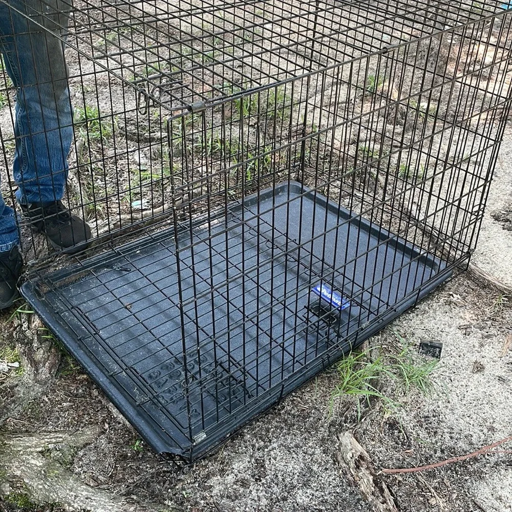 Cages $40/each - Picture 3 of 3